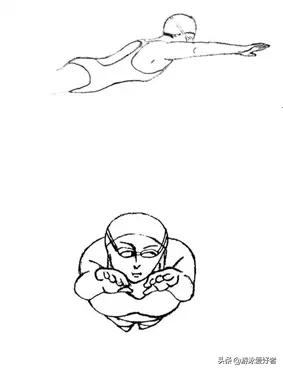 蛙泳技巧,蛙泳拖板技巧