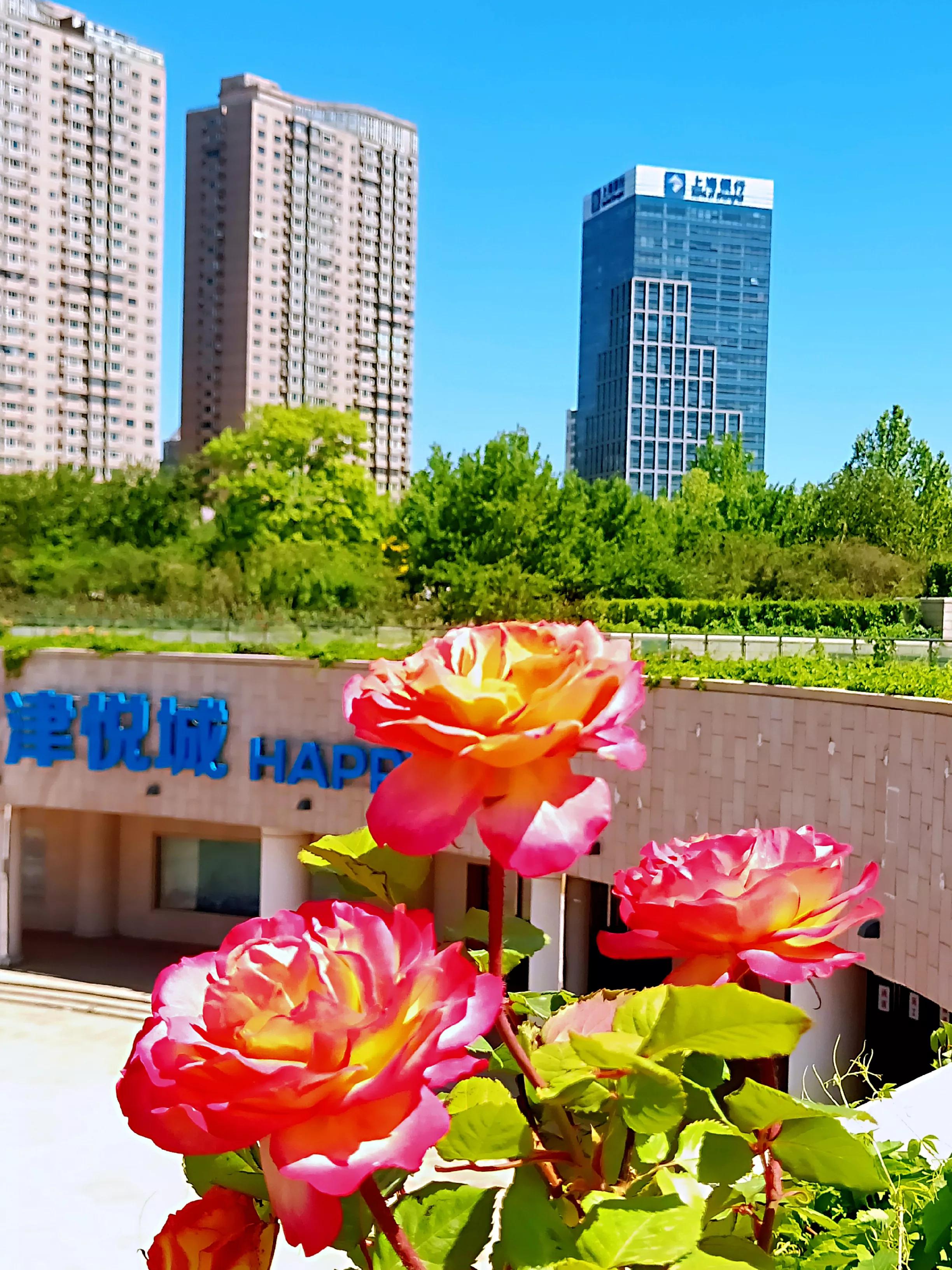 天津银河广场景观,天津银河公园攻略