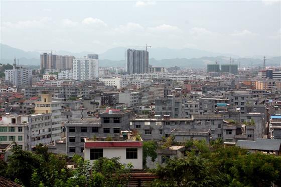 黄山的金凤凰,山沟里的金凤凰湖北