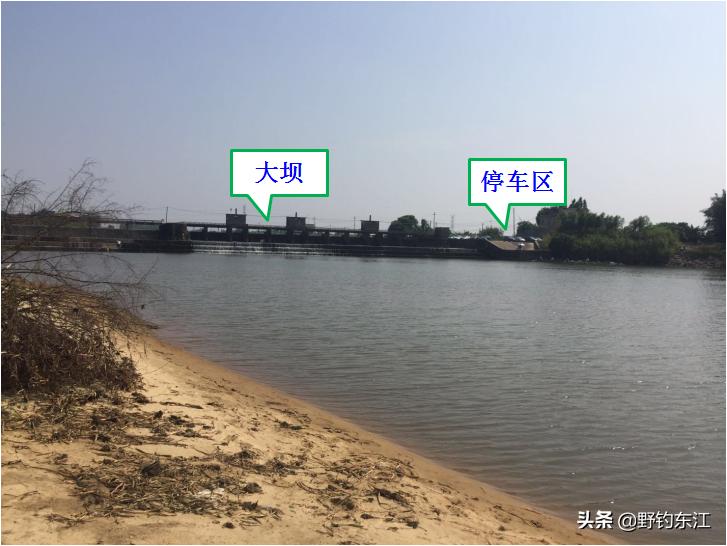 深圳大鹏野钓免费最佳地点,深圳福田野钓地点在哪里