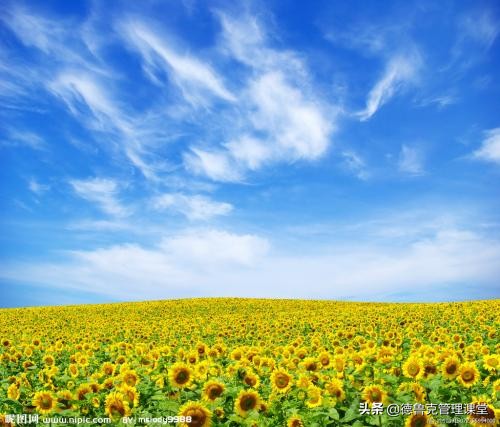 让人眼前一亮的简历,怎么写让人眼前一亮的简历