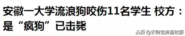 大学宿舍养猪,大学生宿舍养猪事件