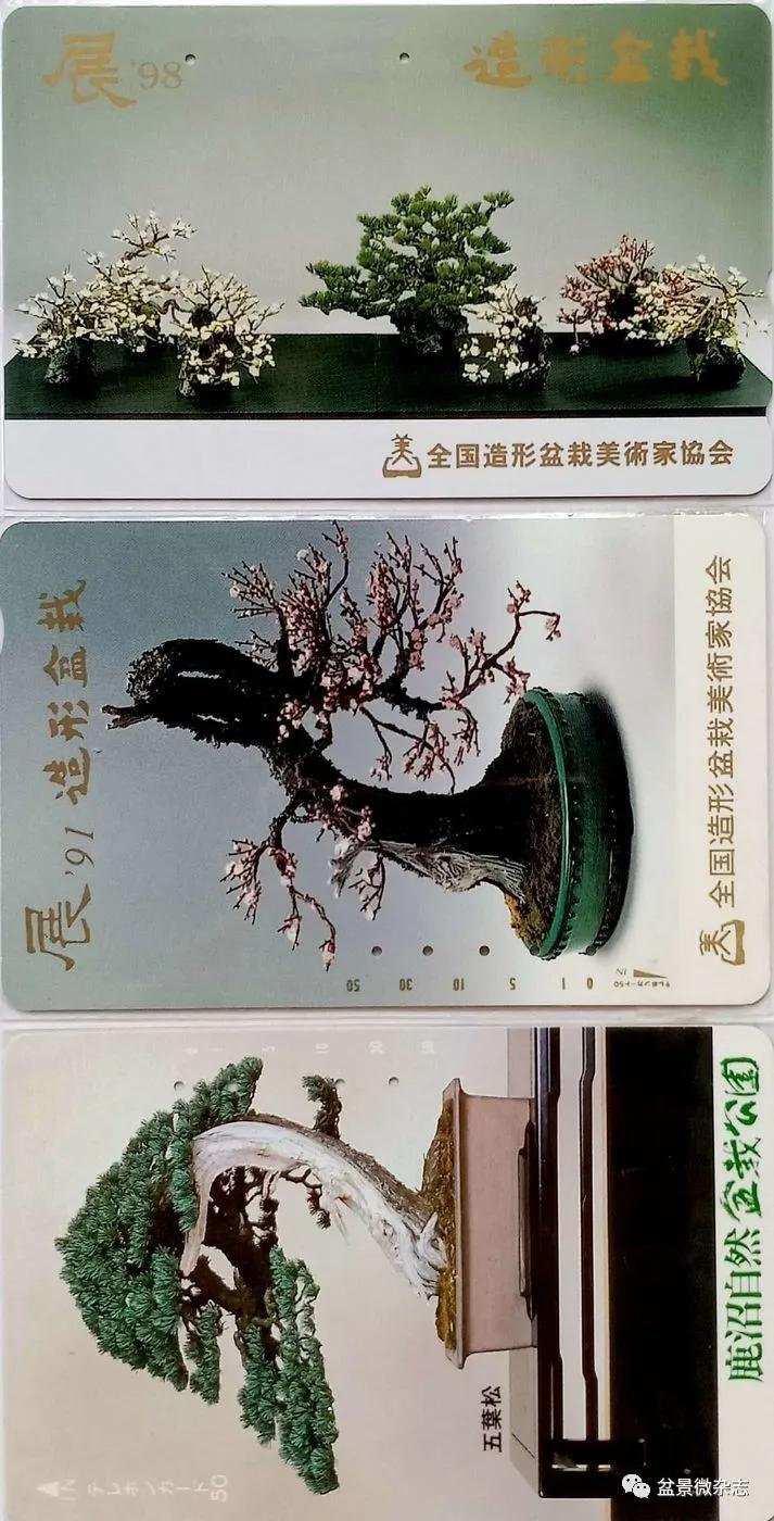 鐩嗘櫙鑱旂郴鐢佃瘽,鐩嗘櫙鑱旂郴鐢佃瘽鍙风爜