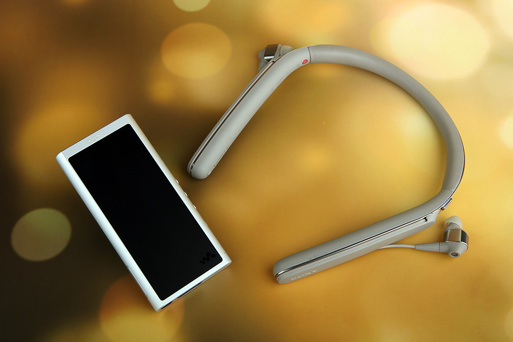 索尼wi-1000x对比评测,索尼wi-c600n和1000x哪款值得买