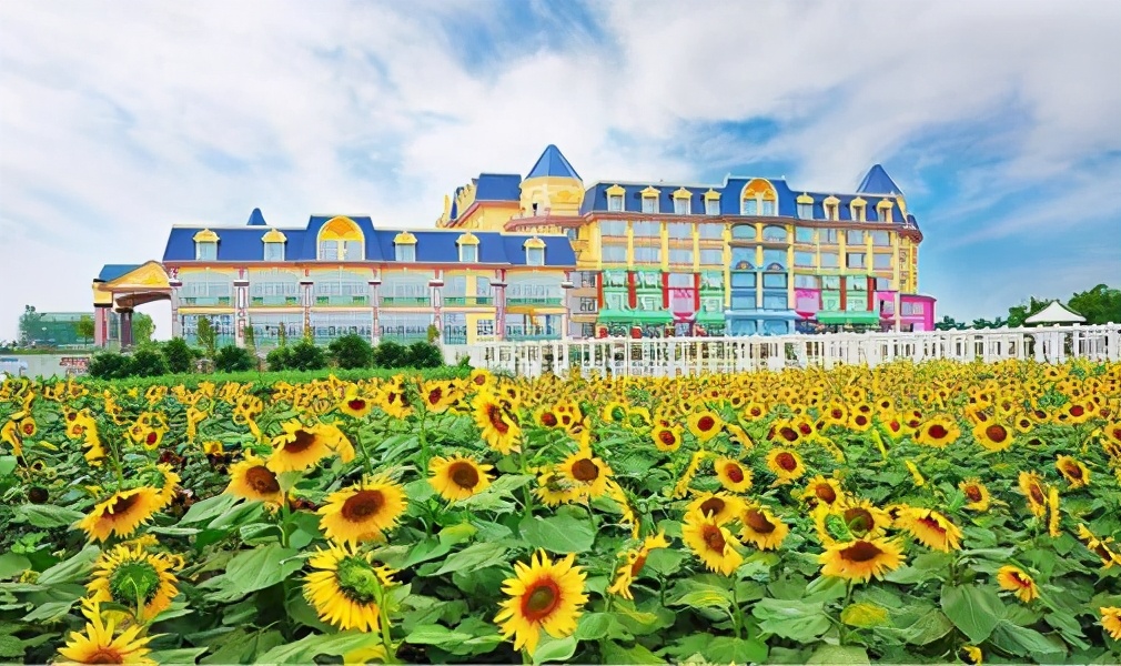 广州4a级景区旅游景点,广州5a旅游景区名单大全