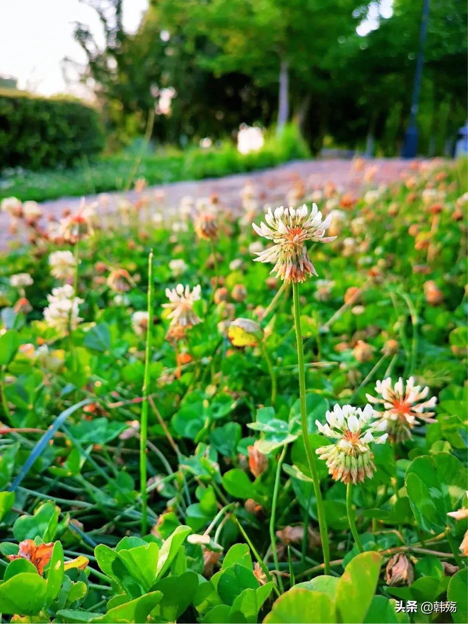 出游不必远行,出游不再烦恼