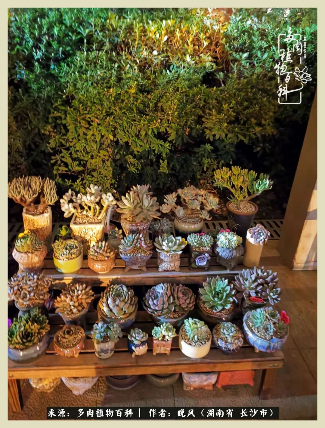 摇身一变成了奶爸,摇身一变成为打工人