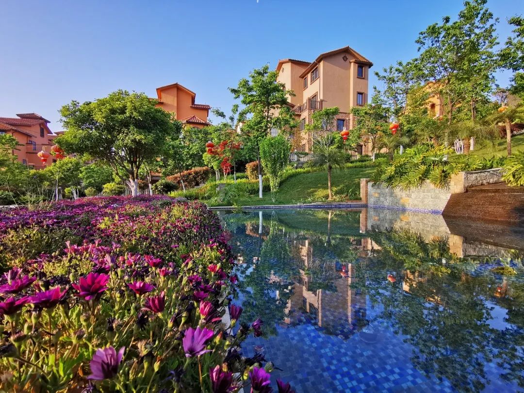 2021年大理佳利集团第七届短视频/摄影大赛火热进行中