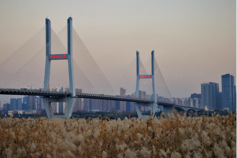 武汉长江上的大桥排名,武汉后官湖大桥