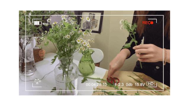 ipad最好的几款app,推荐10款ipad好用到爆的app