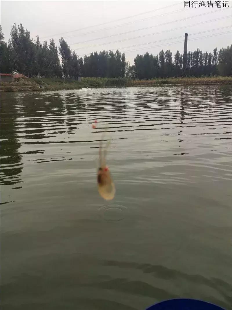 娲涘簞閽撻奔,娲涘簞鍨傞挀