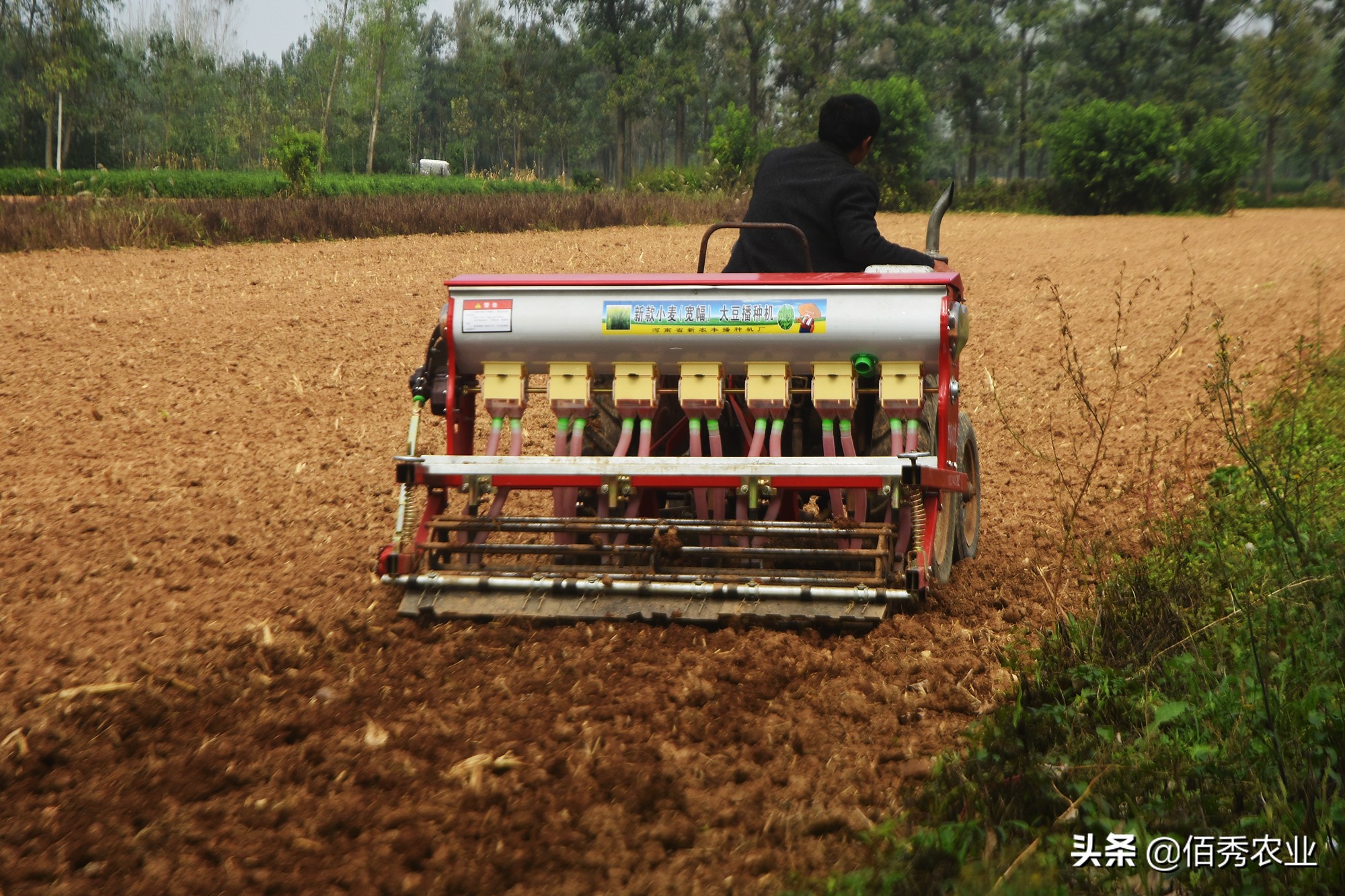 业内人透露小麦种子的“秘密”：改小包装提高价格，反受农民欢迎