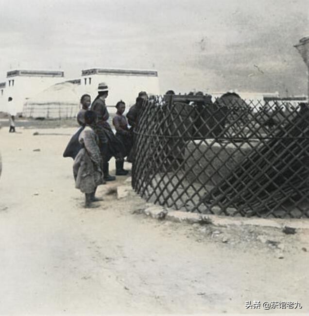 7080年代内蒙古四子王旗老照片,内蒙古四子王旗乌兰花高清图