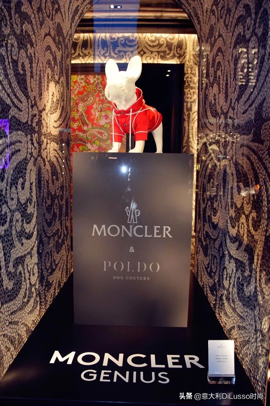 欧洲橱窗为什么漂亮,国外橱窗和小店的区别