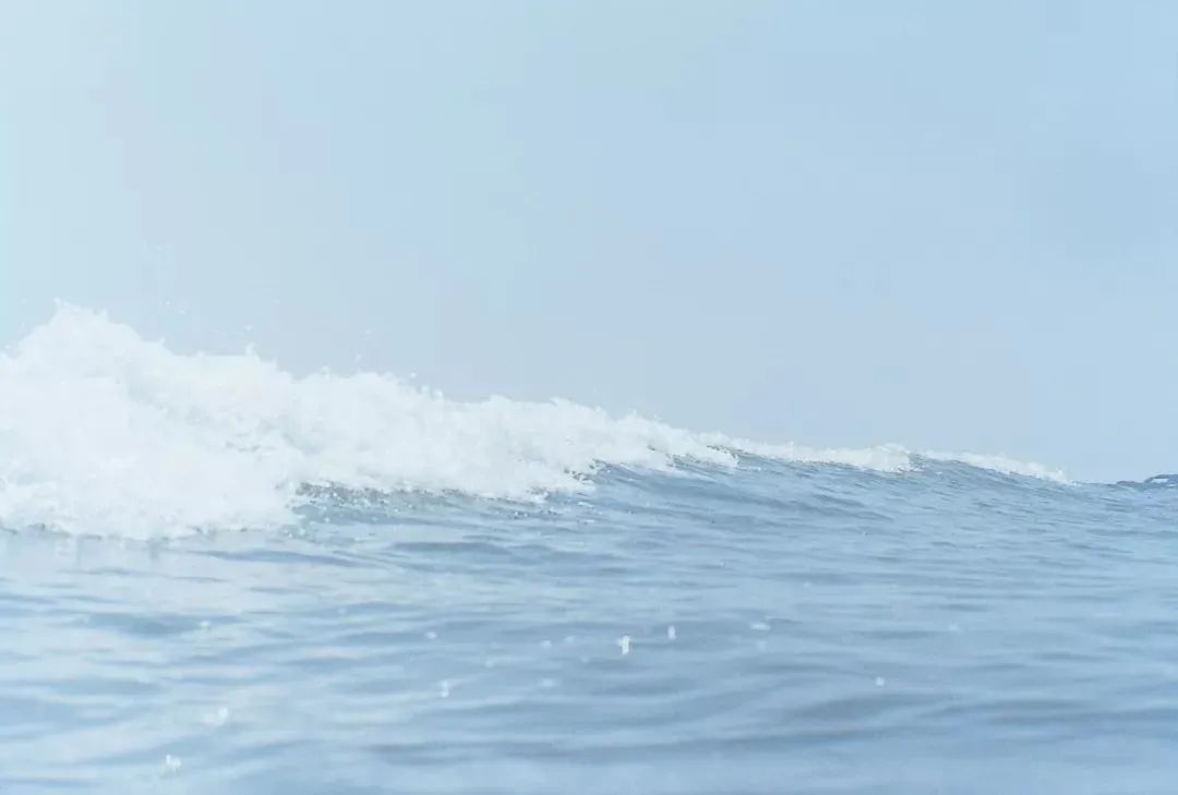 纯棉重磅t恤越洗越好穿,夏天耐穿好洗的t恤