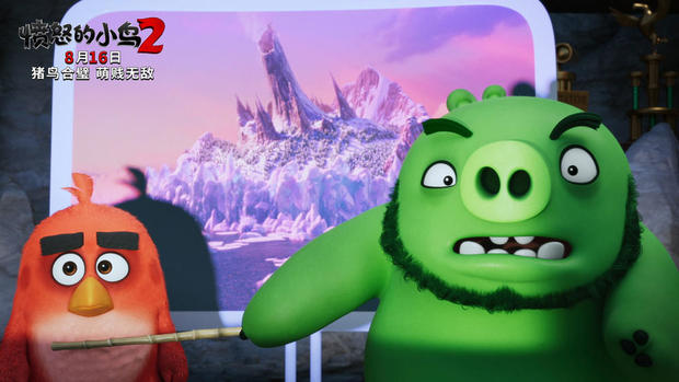 光头可以带来好运吗,光头可以拯救票房吗