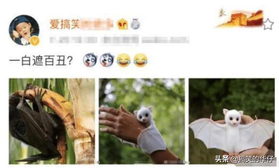 奶奶不在了可以不还花呗吗,用奶奶借花呗奶奶去世还用还吗