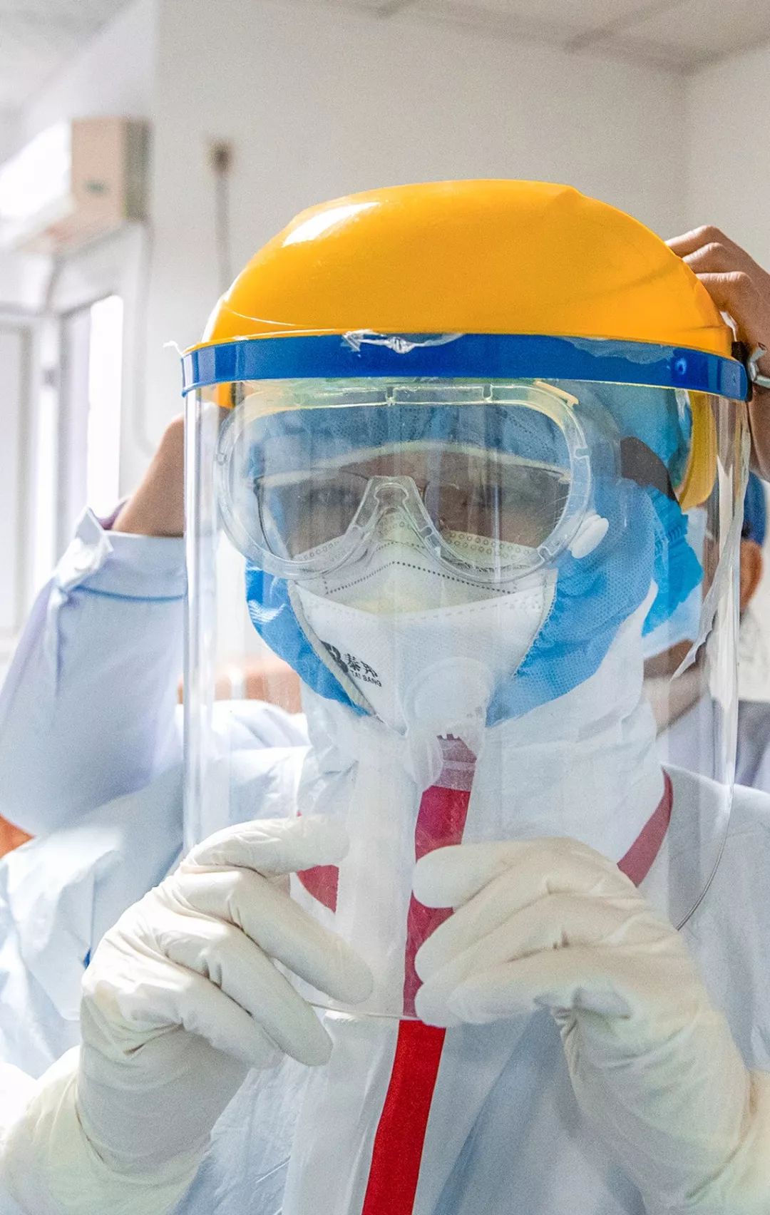 感染病毒后的168小时,你的体内都发生了什么?