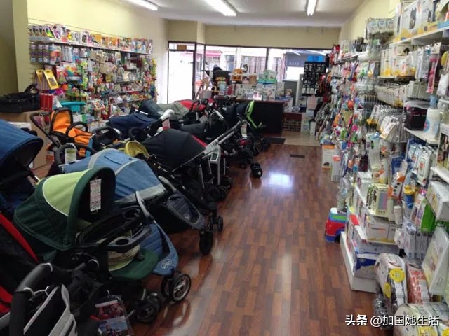 加拿大养小孩福利,加拿大养宠物必备什么