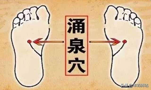 人体十大养生穴位，常按想生病都难