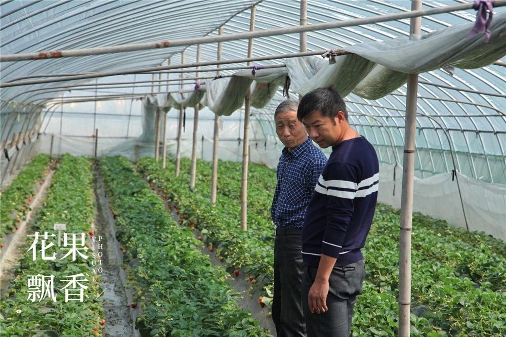 从15万*款贷**到15亿产值，一位基层农技员是如何撬动一方产业？