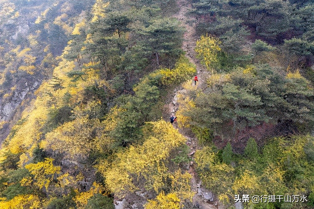 济南徒步爬山推荐免费,济南龙洞徒步登山带你看风景