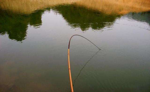 钓鱼是长竿好还是短竿好,为什么竿子越长越好钓