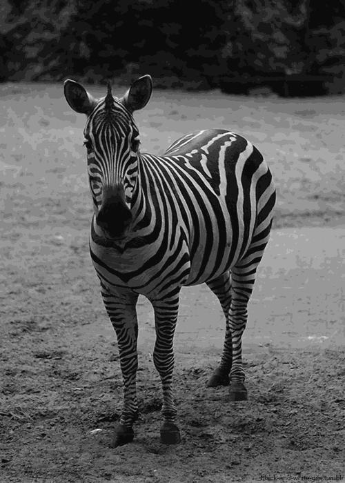 冷知识10个颠覆你认知的日本文 (古代100个绝对颠覆你认知的冷知识)