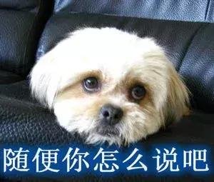 国人在国外为啥起英文名,为什么中国人要出国