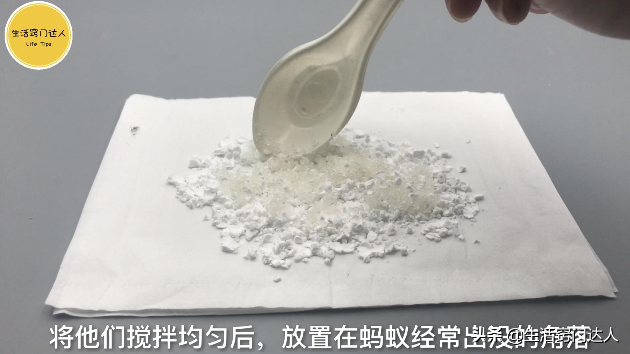 杀灭蚂蚁用什么方法最好,怎么驱赶蚂蚁最有效的方法