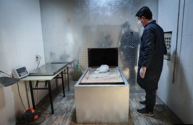 农村有哪些冷门又挣钱的工作,农村有什么冷门生意可做