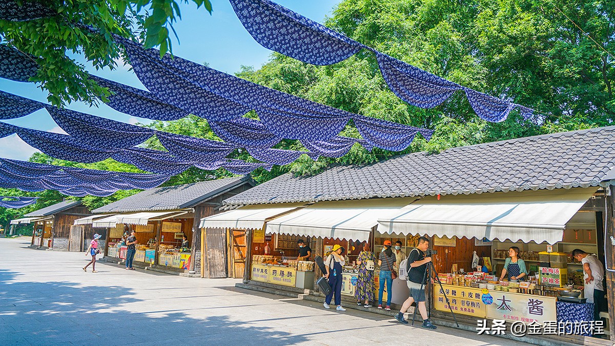 苏州旅游沙家浜,人人都知江南好下一句