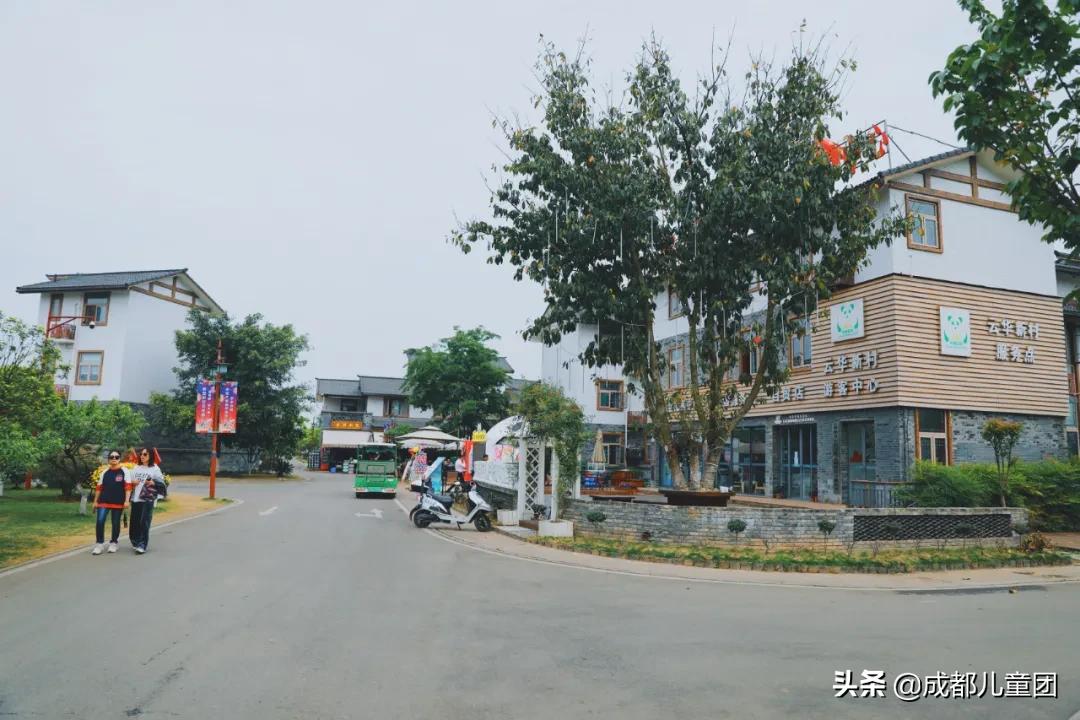 空港运动公园看飞机视频,空港花园和空港花田是一个位置吗