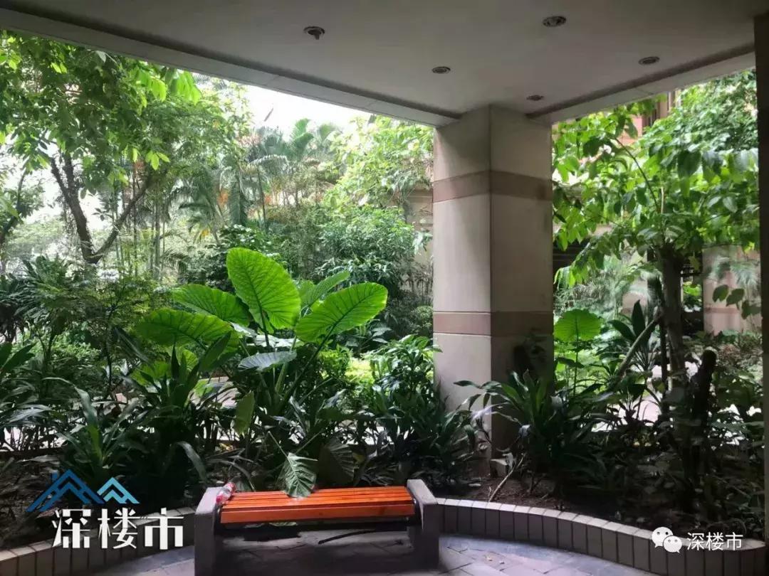 名校学区房会降价吗,如果名校不再划片学区房还值钱吗