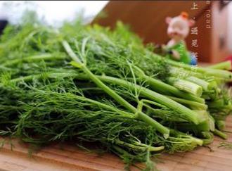 韭菜可以和茴香豆腐一起包饺子吃,茴香豆腐菜盒子的做法大全集