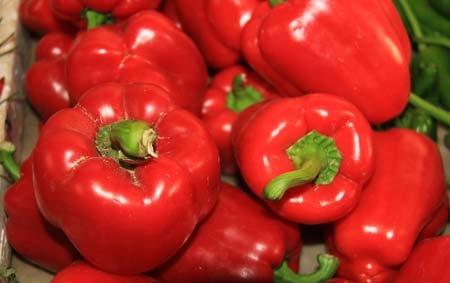 维生素c咀嚼片可以喂鸡吗,复合b族维生素c咀嚼片有什么功效