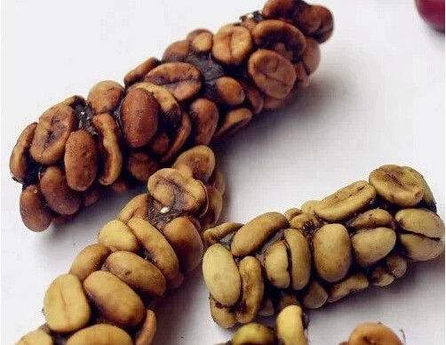 为什么有人爱喝一股霉味的茶,为什么有人喝咖啡追求酸