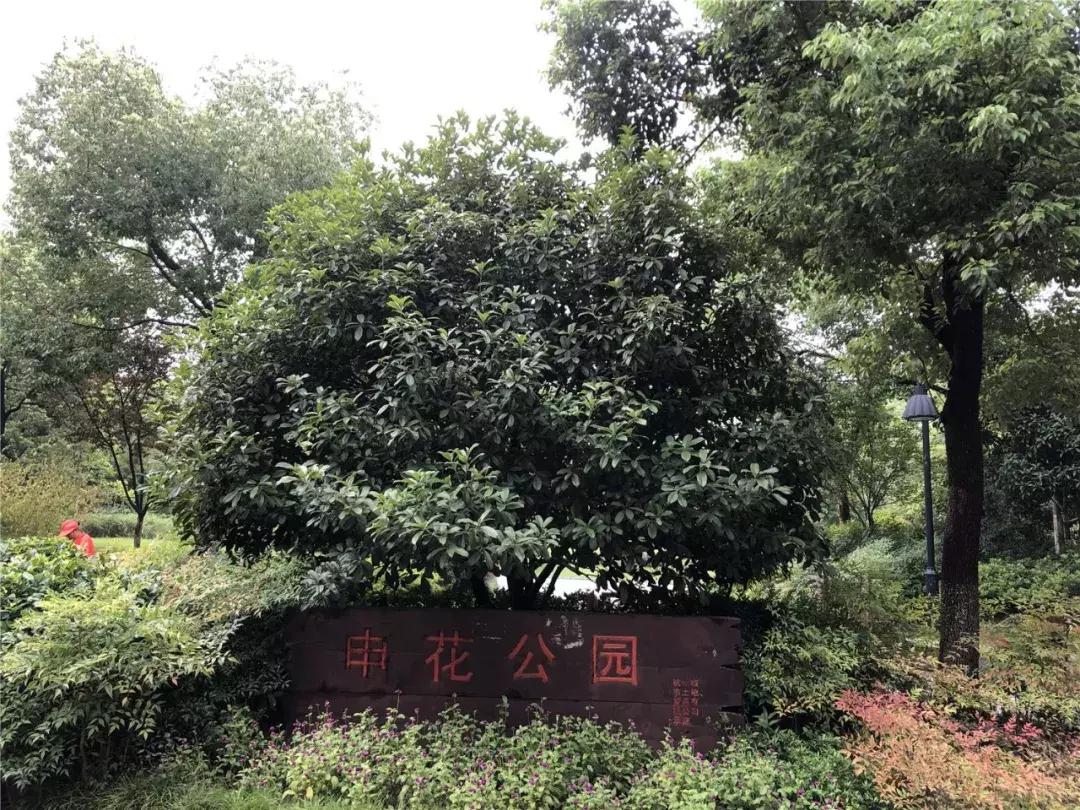 申花中央顶级豪宅区,杭州申花超级豪宅