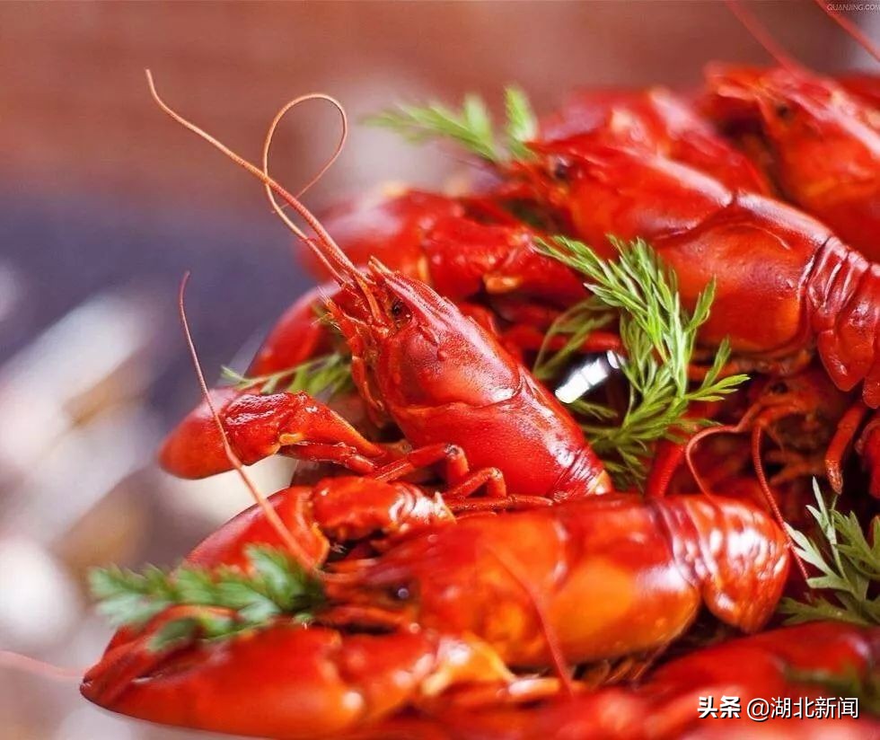 潜江龙虾节特色美食展,2023潜江龙虾节现场效果