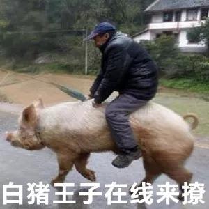 地球70亿巨型骚动！日本绝赞“中二文学秘密”大公开