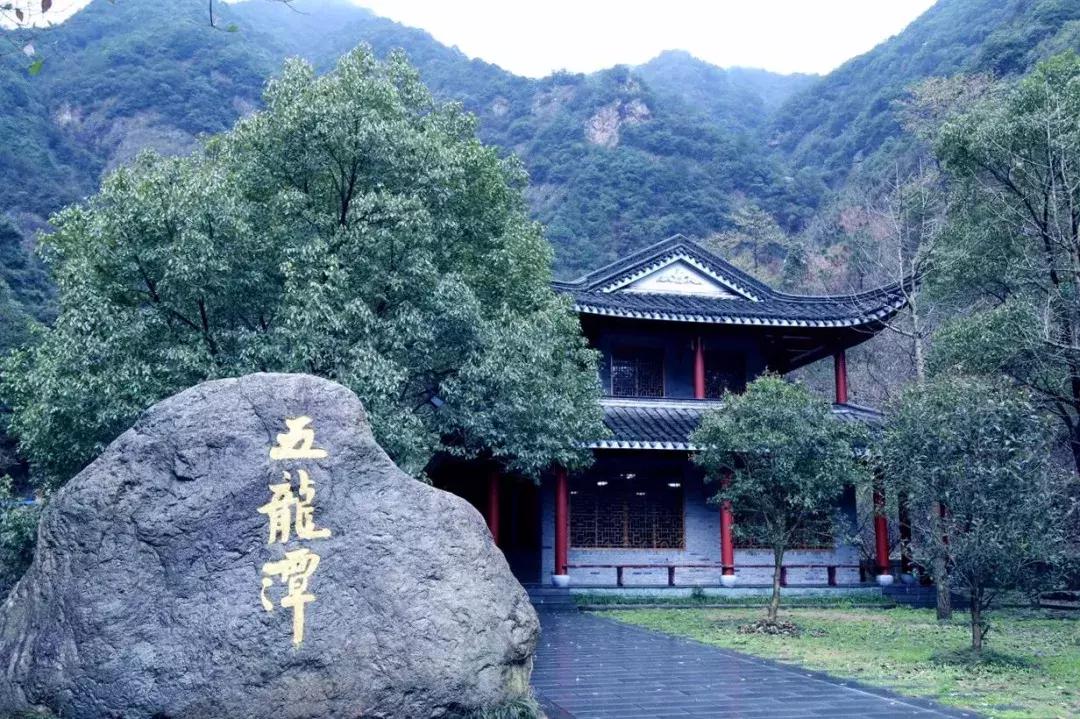 森林负离子度假酒店,负氧离子氧吧酒店