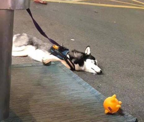 2019年度热点词大全