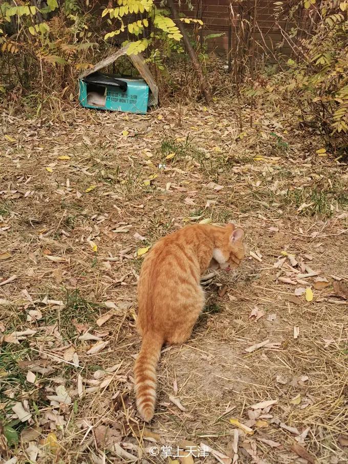 天津大学化工亚洲第一,天津大学化工专业在全国排名第几
