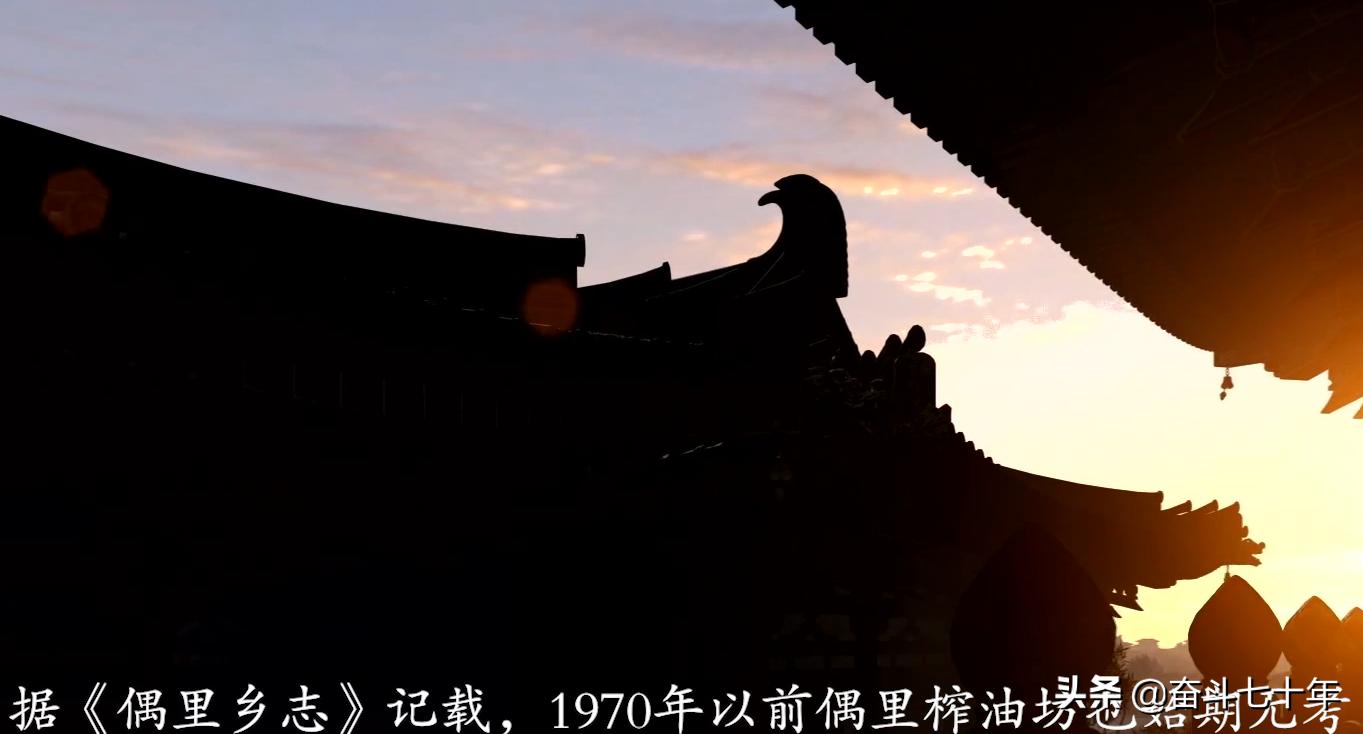 东方神润橄榄油,山茶油是东方橄榄油吗