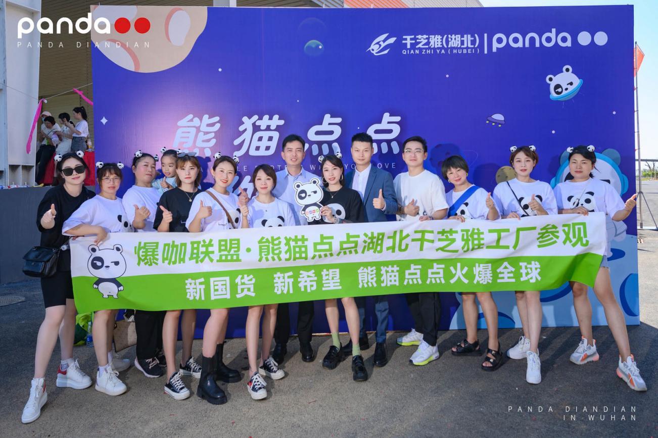 熊猫点点品牌纸尿裤异军突起