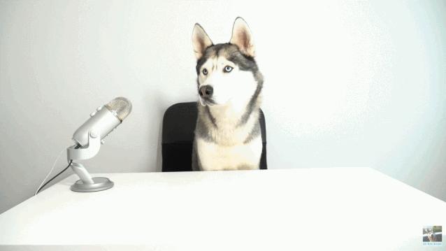 令人愉悦的声音asmr,asmr最糟糕的十种声音