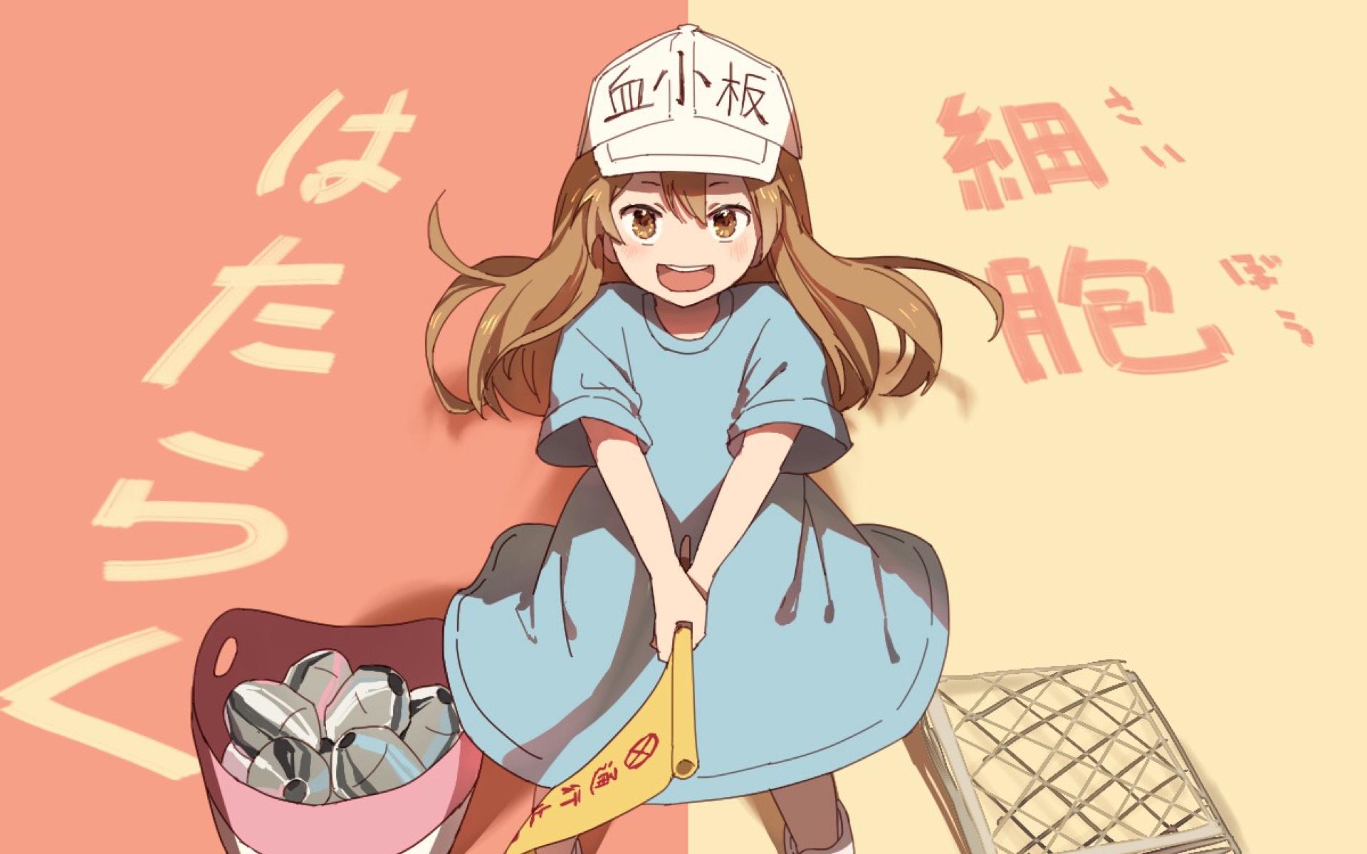 日本动漫新出的新电影,日本动画片新出