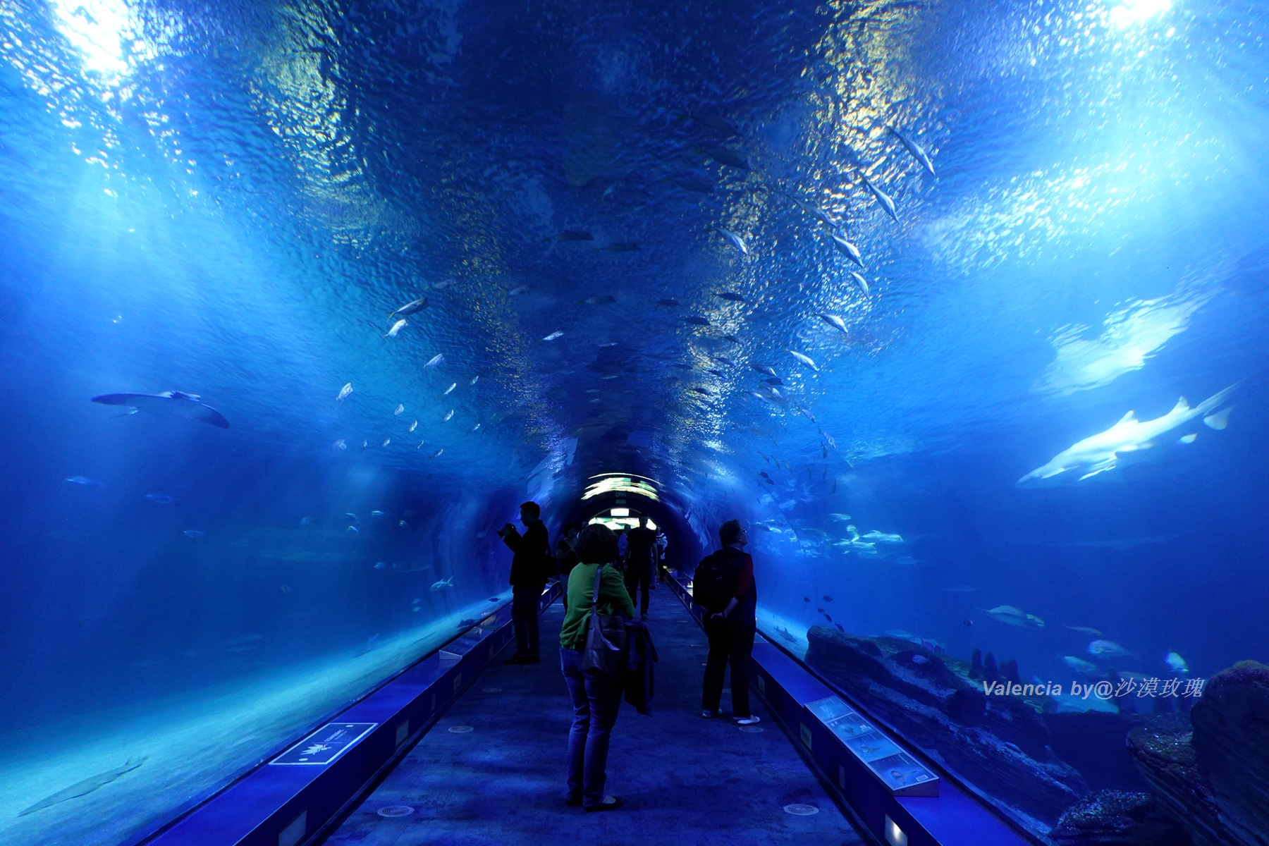 蝙蝠救了国王，成了这座城市的守护神，西班牙被忽视的阳光之城