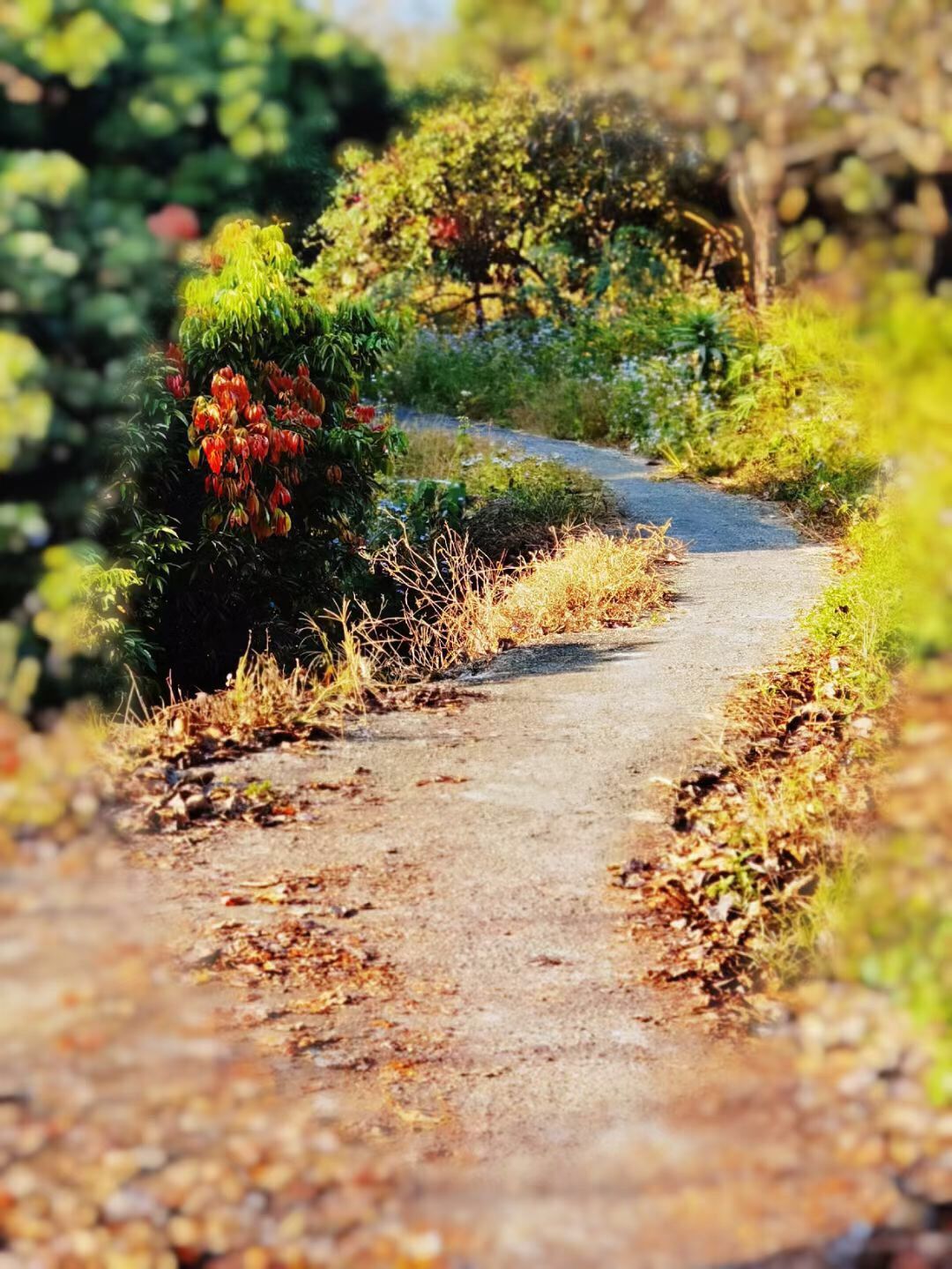 关注女性疾病的意义,关爱女性健康警惕妇科肿瘤