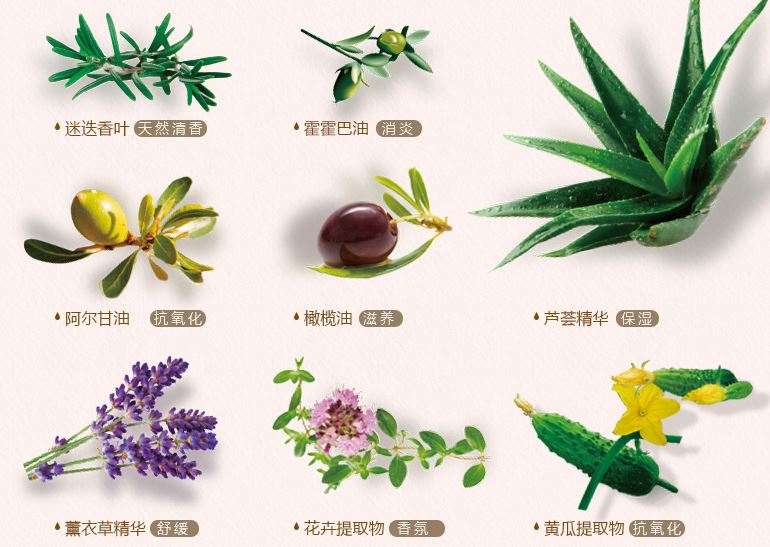 秋季新款洗发水大测评,堪比大牌的小众品牌洗发水